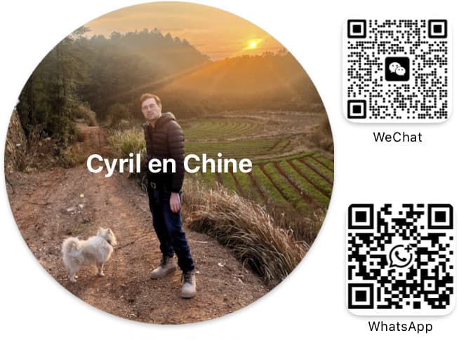 cyrilenchine wfit contact